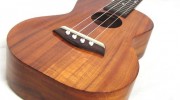 Ukulele Lessons