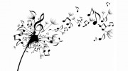 Hidden Talent Lessons