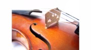 Violin With Anna
